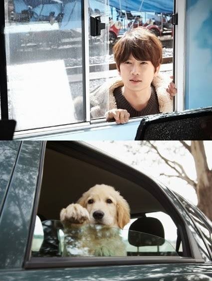 Kill Me, Heal Me Fotoğrafı