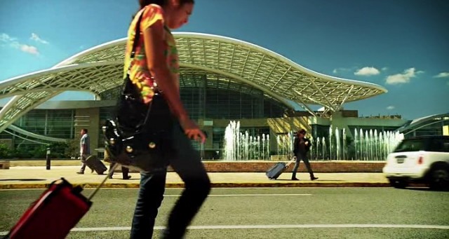 Falcon Rising Fotoğrafı