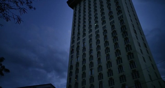 Falcon Rising Fotoğrafı