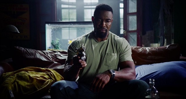 Falcon Rising Fotoğrafı