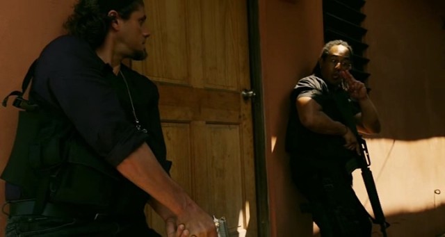 Falcon Rising Fotoğrafı