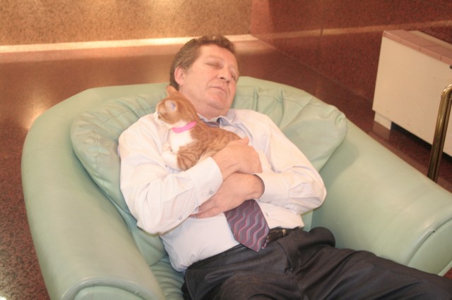 Albatrosun Yolculuğu Fotoğrafı