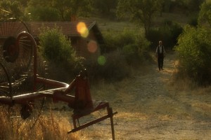 Bir Kaplumbağa ile Tavşan Hikayesi Fotoğrafı