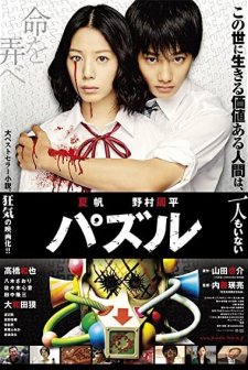 Puzzle (2014) afişi