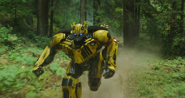 Bumblebee Fotoğrafı
