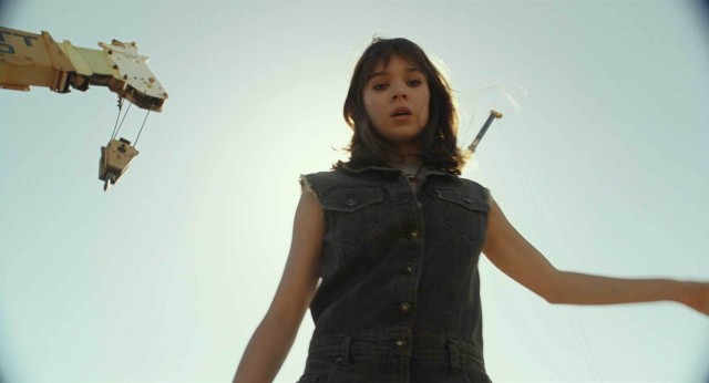 Bumblebee fotoğrafı