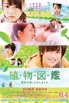Evergreen Love (2016) afişi