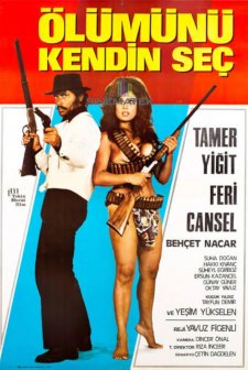 Ay Bu Gece Doğacak (1971) afişi