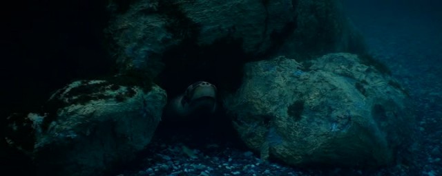 Nadide Hayat Fotoğrafı