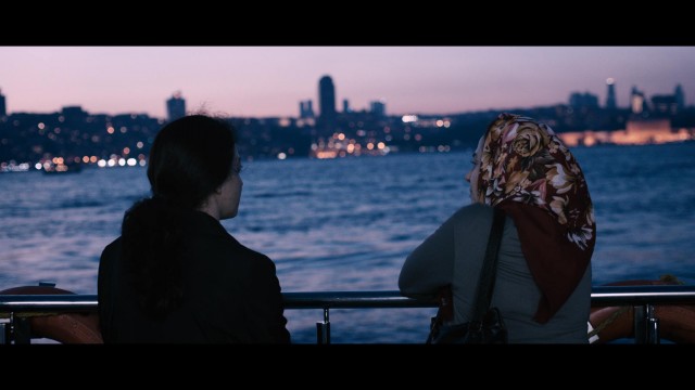 Toz Bezi fotoğrafı