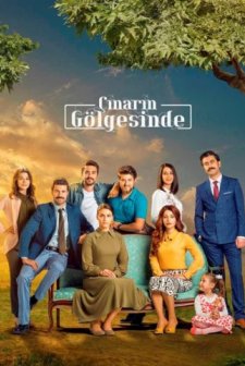 Çınarın Gölgesinde (2015) afişi
