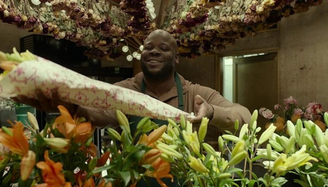 Parçalanmış fotoğrafı