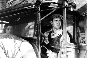 Gazap Üzümleri Fotoğrafı