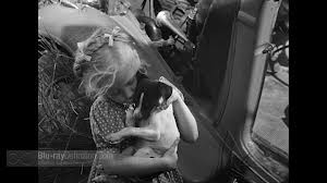 Yasak Oyunlar Fotoğrafı