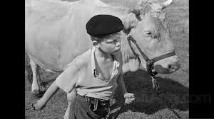 Yasak Oyunlar Fotoğrafı