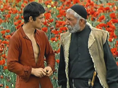 Dilek Ağacı Fotoğrafı