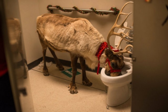 Çılgın Ofis Partisi fotoğrafı