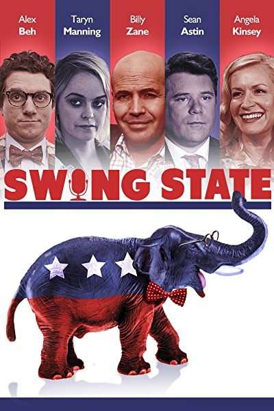 Swing State (2017) afişi