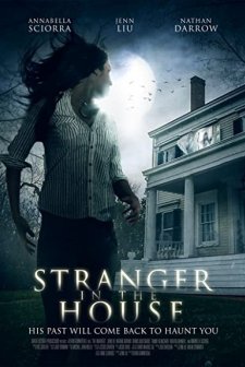 Stranger in the House (2015) afişi