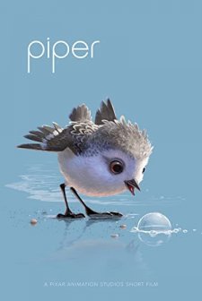 Kum Kuşu (2016) afişi