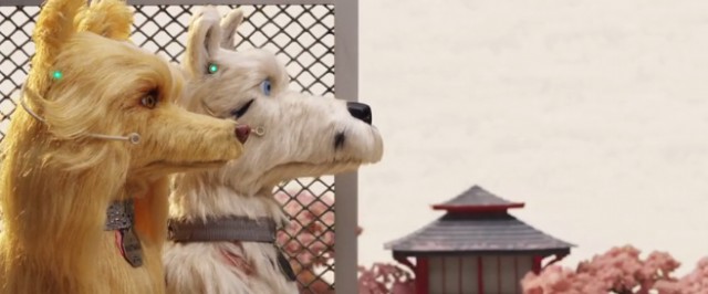 Köpek Adası Fotoğrafı