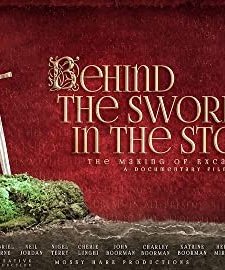 Behind the Sword in the Stone (2013) afişi
