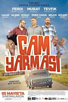 Çam Yarması (2017) afişi