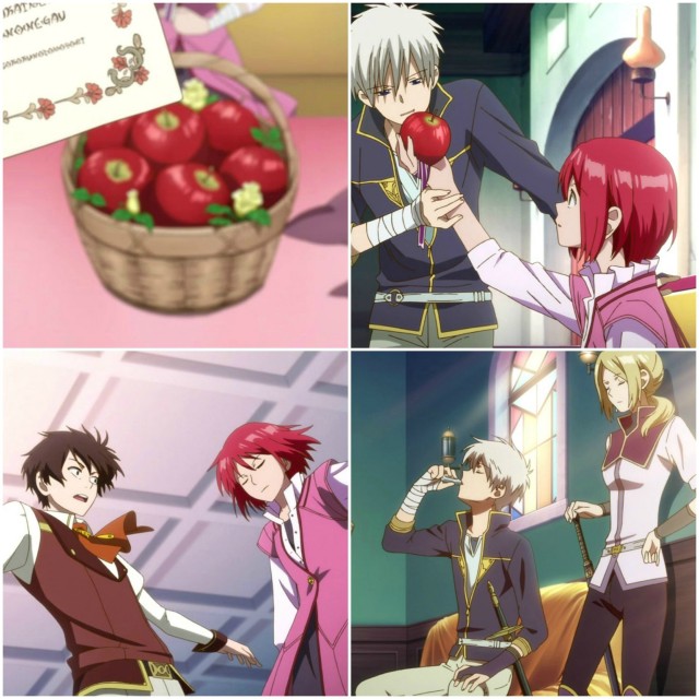Akagami no Shirayuki-hime Fotoğrafı