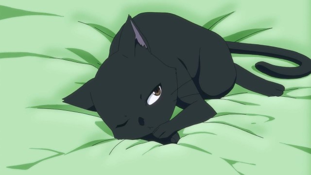 Flying Witch  Fotoğrafı