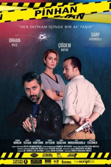 Pinhan (2016) afişi
