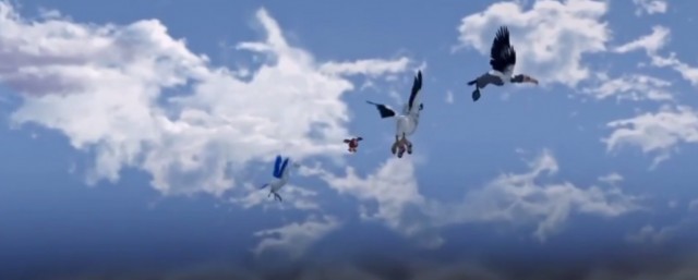 Birds Like Us Fotoğrafı