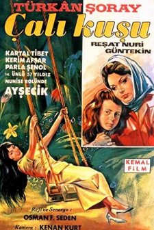 Çalıkuşu (1966) afişi