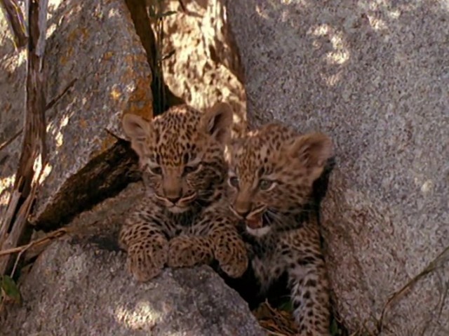 Çılgın Kaçış Fotoğrafı