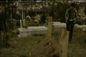 Filler ve Çimen Fotoğrafı