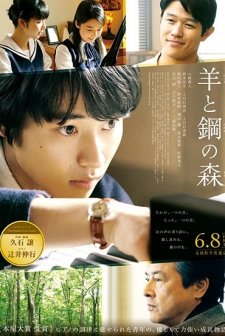 Forest of Sheep and Steel (2018) afişi