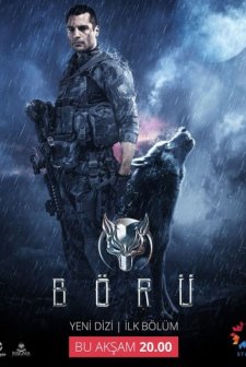 Börü (2018) afişi