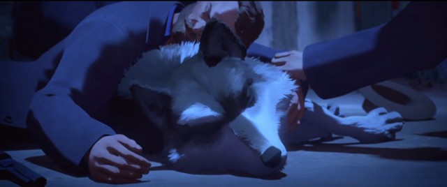 Beyaz Diş Fotoğrafı