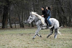 Rüya Bilmecesi Fotoğrafı