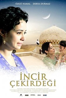İncir Çekirdeği (2009) afişi