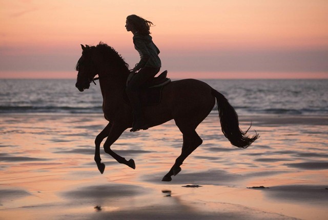 Immenhof - Das Abenteuer eines Sommers fotoğrafı