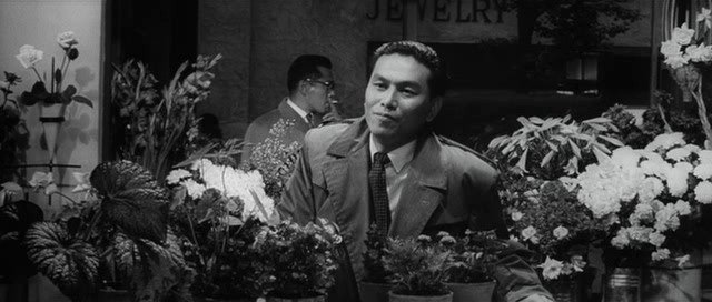 Ahmaklar Barış İçinde Uyuyor Fotoğrafı