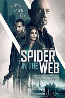 Spider in the Web (2019) afişi