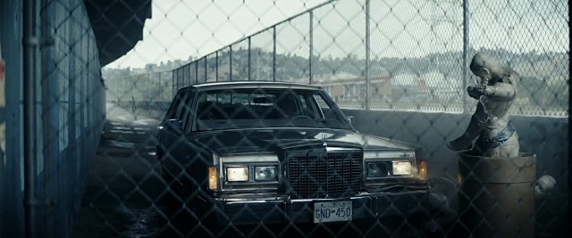 Mutluluk Fotoğrafı