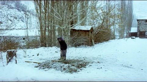 Deli Deli Olma Fotoğrafı