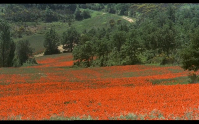 Ay ve Güneş Kardeşler Fotoğrafı