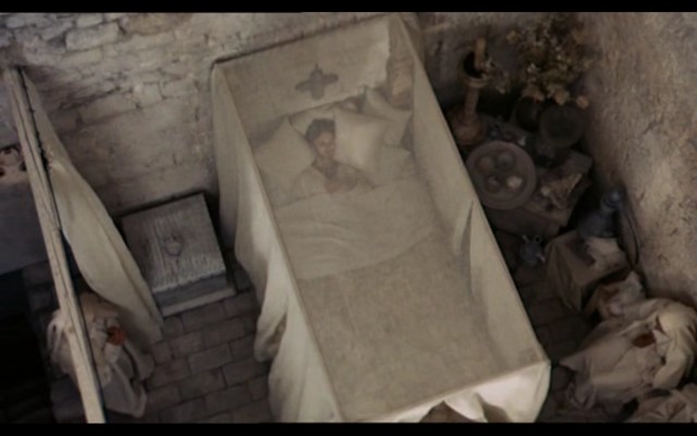 Ay ve Güneş Kardeşler Fotoğrafı