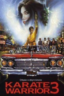 Karate Warrior 3 (1991) afişi