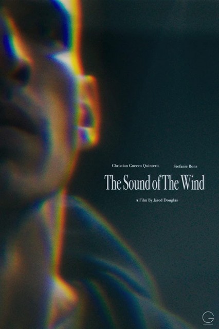 The Sound of The Wind (2020) afişi