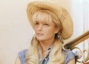 The Beverly Hillbillies fotoğrafı