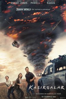 Kasırgalar (2024) afişi